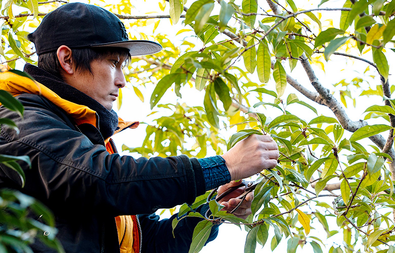 お客様の想いに耳を傾けて、形にします