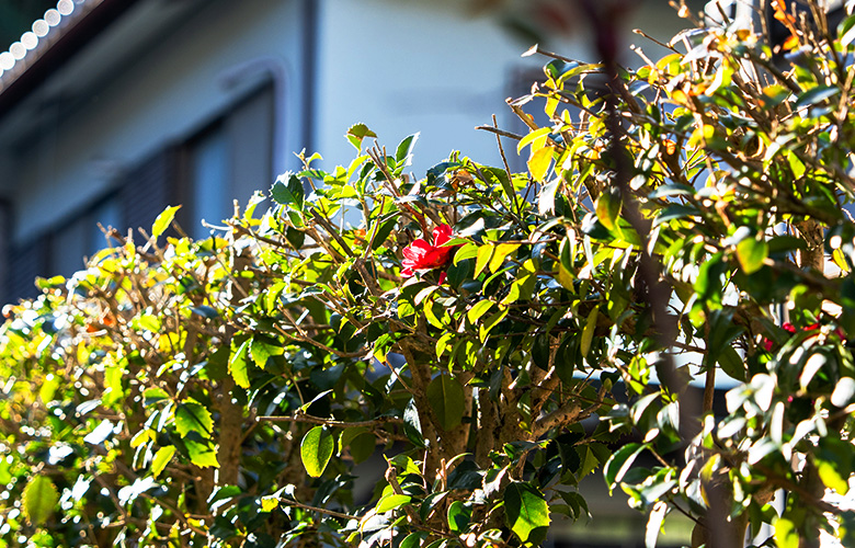 庭じまいのご相談もお受けしています
