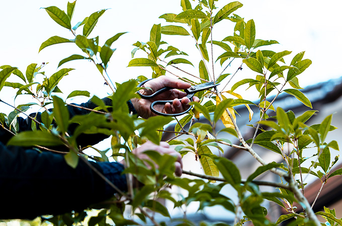 自然の美しさを最大限に活かす施工