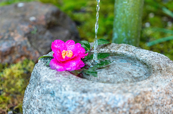 アフターフォローまで丁寧に対応